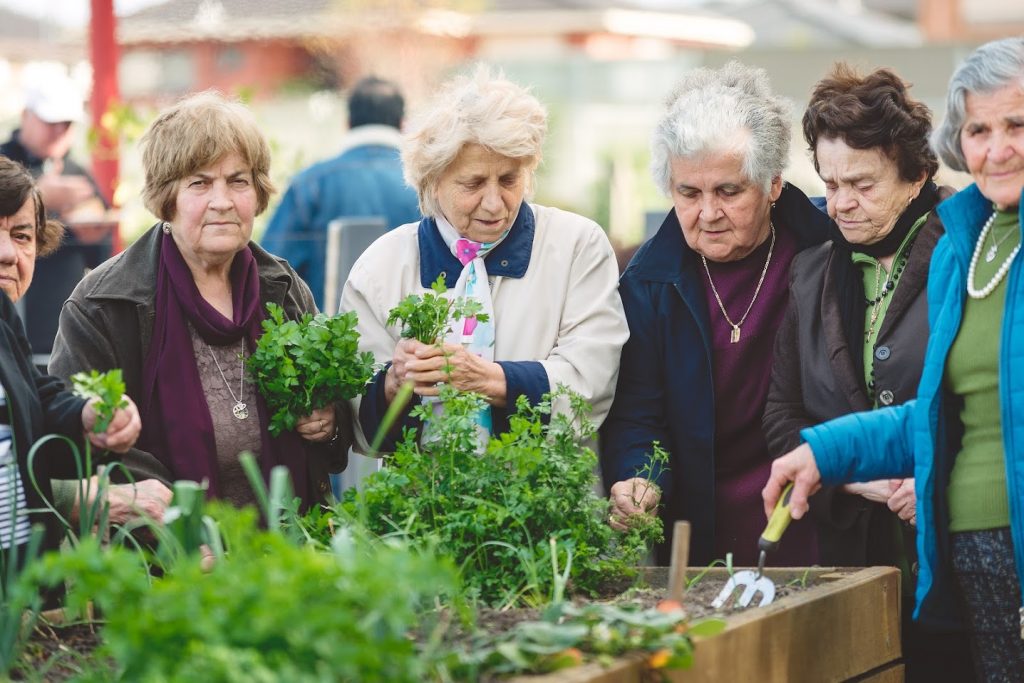 MCWA CALLS FOR LOCAL VOTES TO WIN MEDIBANK COMMUNITY GRANT!!