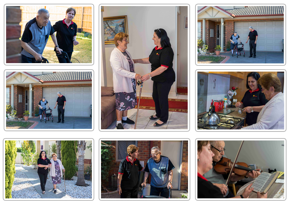 collage-domestic-assistance